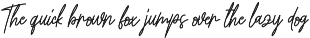 The Vintage | Script Font preview