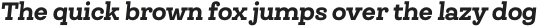 Queulat Alt Black Italic otf (900)