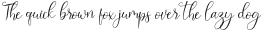 Amersfoot Script otf (400)