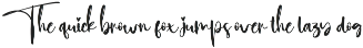 Embroidery | Script Font preview