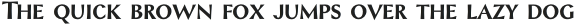 Styla SC otf (700)
