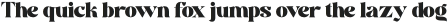 concrete thin Regular otf (100)