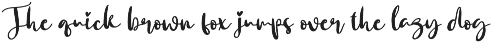 Bekind | Script Font preview
