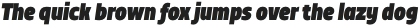 TT Teds Black Italic otf (900)