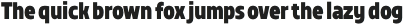 TT Teds ExtraBold otf (700)