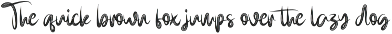 Brighter | Script Font preview