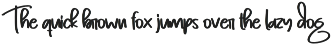 Flamingo | Script Font preview