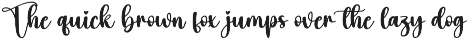 Pinky | Script Font preview