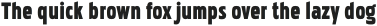 Pakenham Condensed Black otf (900)