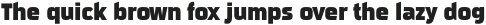 Sui Generis Condensed Heavy otf (800)