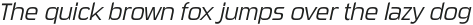 Sui Generis Condensed Light Italic otf (300)