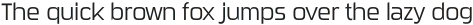 Sui Generis Condensed Light otf (300)
