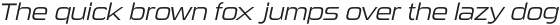 Sui Generis Light Italic otf (300)
