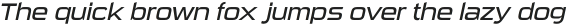 Sui Generis Book Italic otf (400)