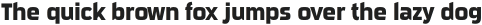 Sui Generis Condensed Bold otf (700)