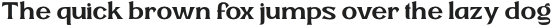 Brown Hunter Display Medium otf (500)