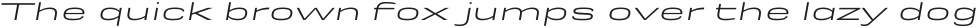 Rice Book Expanded Oblique otf (400)