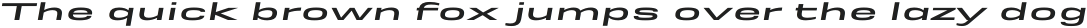 Rice Bold Expanded Oblique otf (700)