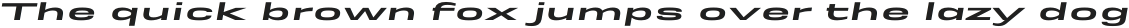 Rice Extra Bold Expanded Oblique otf (700)