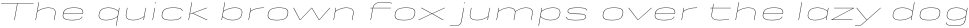 Rice Hairline Expanded Oblique otf (100)