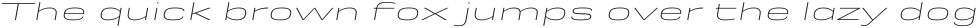 Rice Thin Expanded Oblique otf (100)