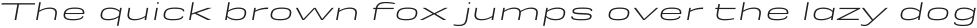 Rice Light Expanded Oblique otf (300)