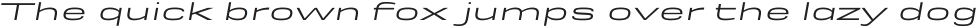 Rice Expanded Oblique otf (400)