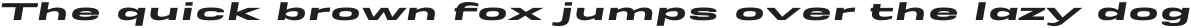 Rice Ultra Expanded Oblique otf (900)