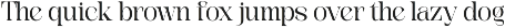Rengok - Aesthetic Serif Font preview