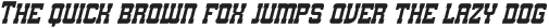 ASGARD Italic otf (400)