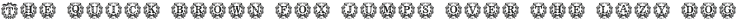 Holy Wreath Monogram Regular otf (400)