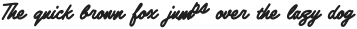 Love This Life Outline Script otf (400)