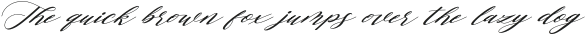 Human Diary otf (400)