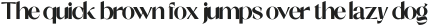 Shocka Sans Extra Bold ttf (700)