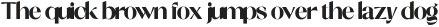 Shocka Sans Black ttf (900)