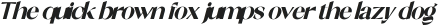 Shocka Sans Sans Black Italic otf (900)