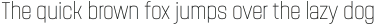 Navine Condensed Thin ttf (100)