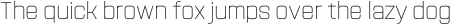 Navine Thin ttf (100)