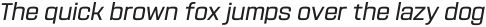 Navine Italic ttf (400)
