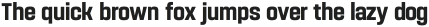Navine Condensed Bold ttf (700)