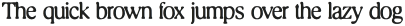 BN Cringe Serif Light otf (300)