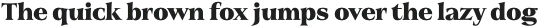 Civane Serif Norm Black otf (900)