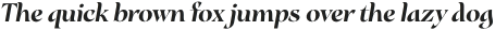 Montarsi Ext Black Italic otf (900)