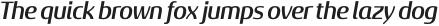 Sancoale Gothic Ext Demi Italic otf (400)