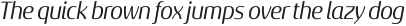 Sancoale Gothic Norm Regular Italic otf (400)