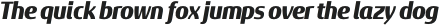 Sancoale Gothic Cond Black Italic otf (900)