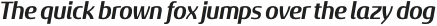Sancoale Gothic Norm Bold Italic otf (700)