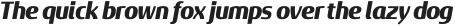Sancoale Gothic Norm Black Italic otf (900)