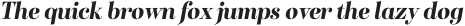 Sociato Ext Black Italic otf (900)