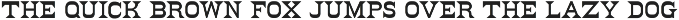 Wood Type Bundle preview